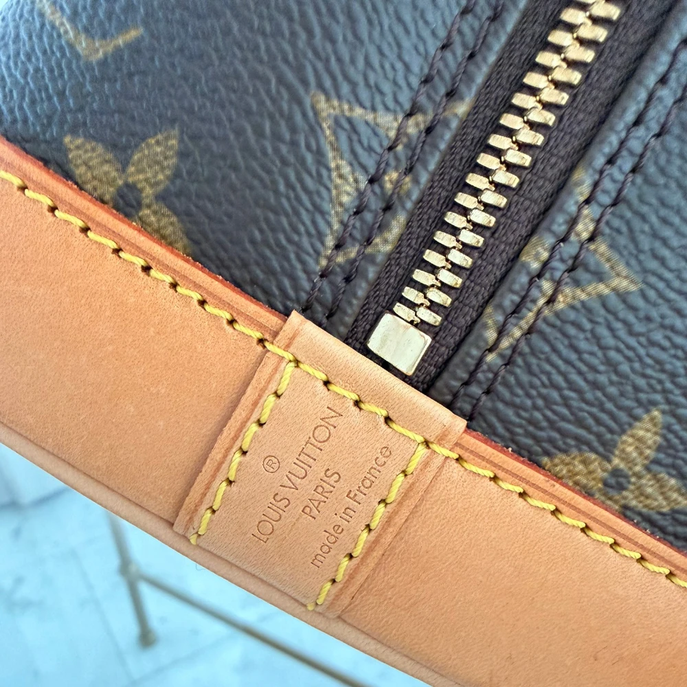 Louis Vuitton | Alma PM monogram handbag