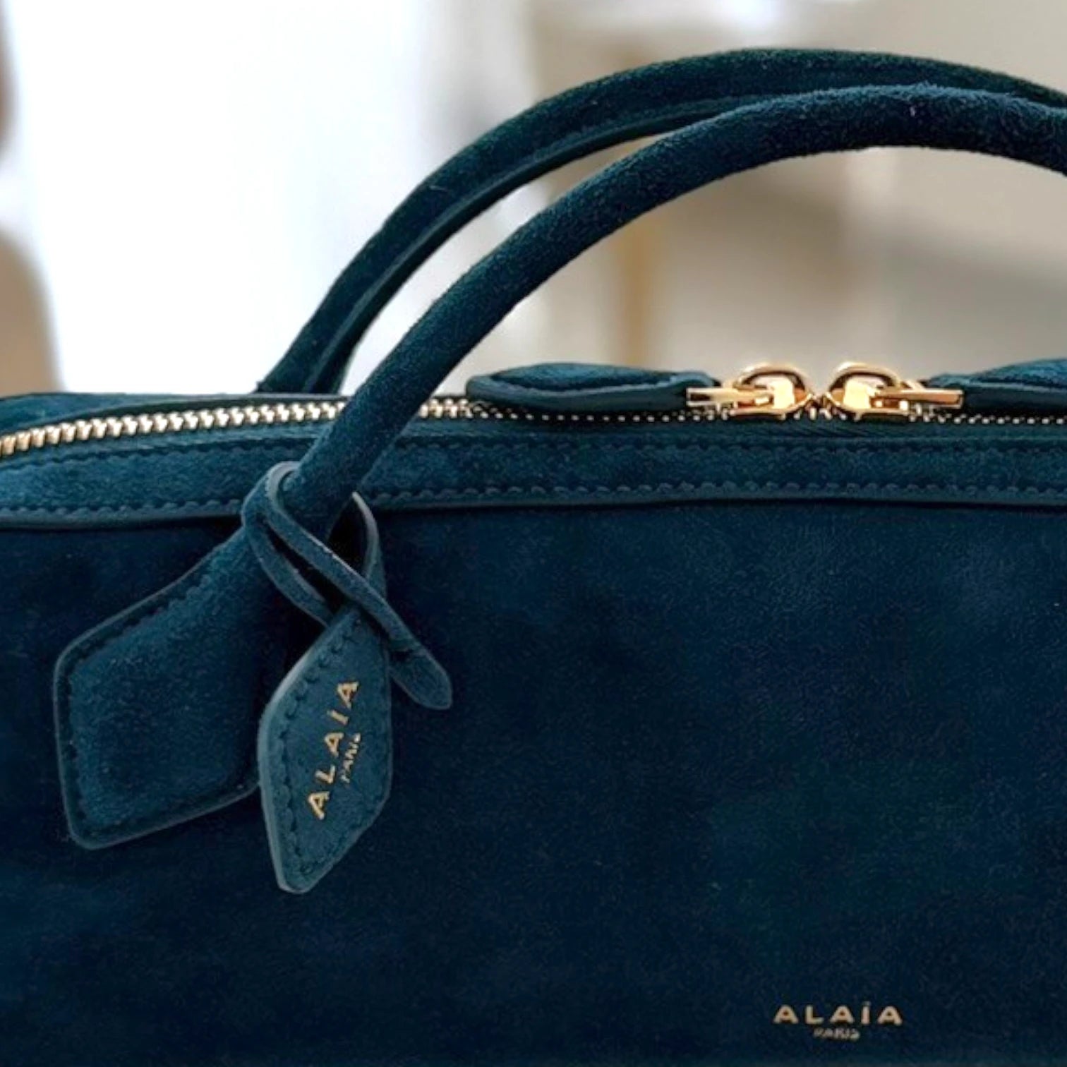 Alaïa  | Le Teckel Handbag